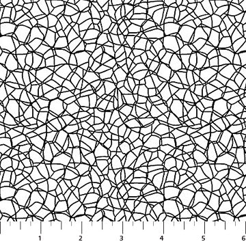 Basically B & W 10725-11