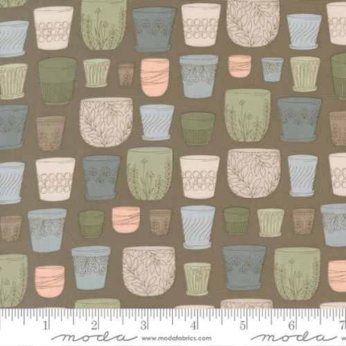 Potted 526141-21