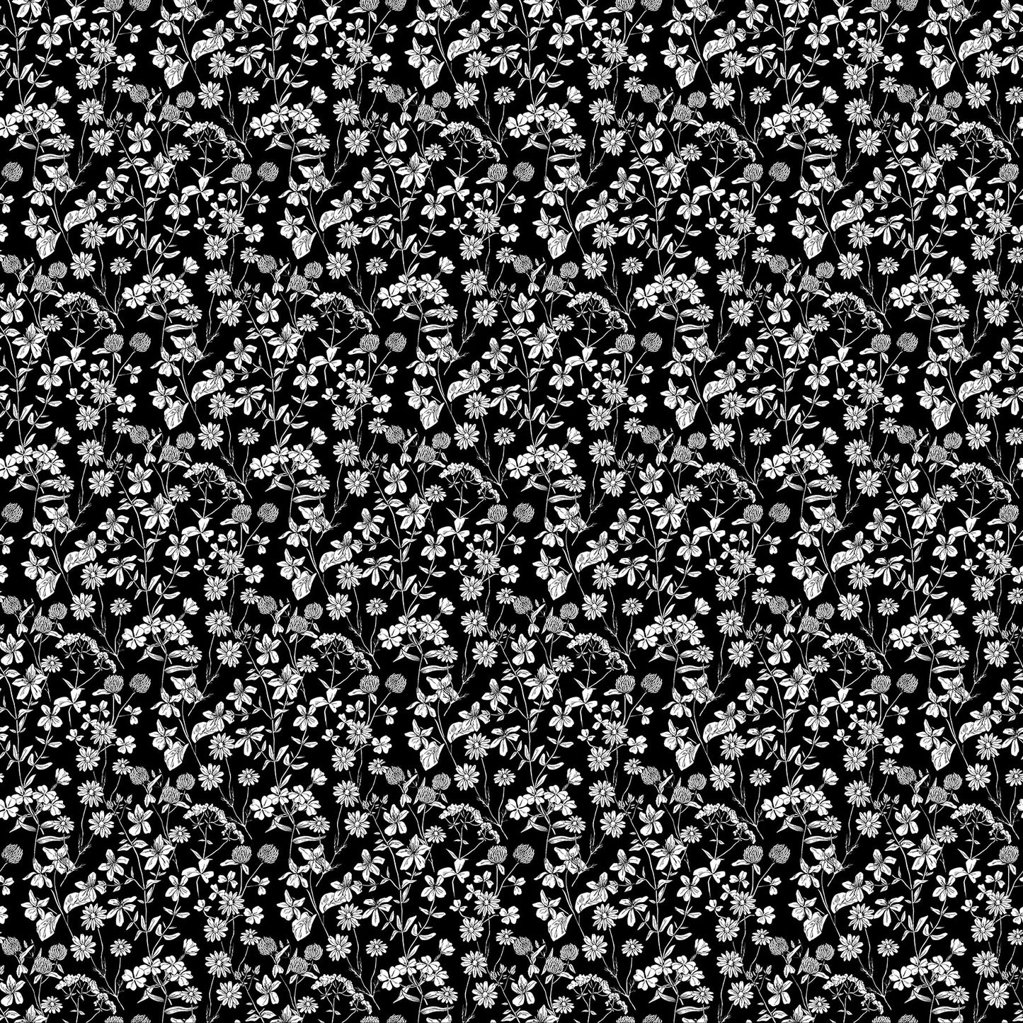 Nature's Sketchbook 28527-99