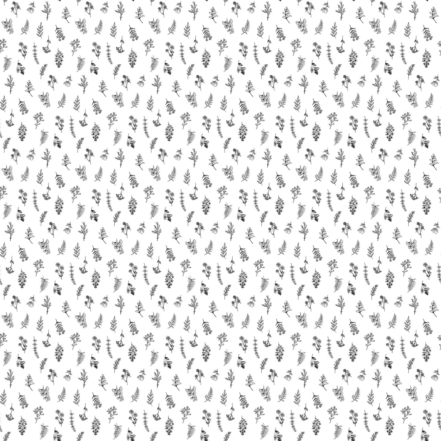 Nature's Sketchbook 28532-10