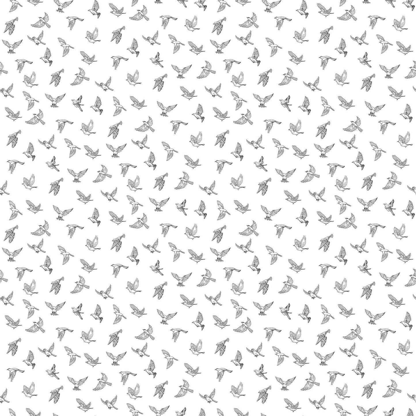 Nature's Sketchbook 28533-10