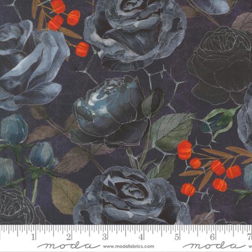 Coven- Midnight 48800-15