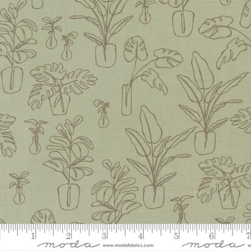 Potted 526143-24