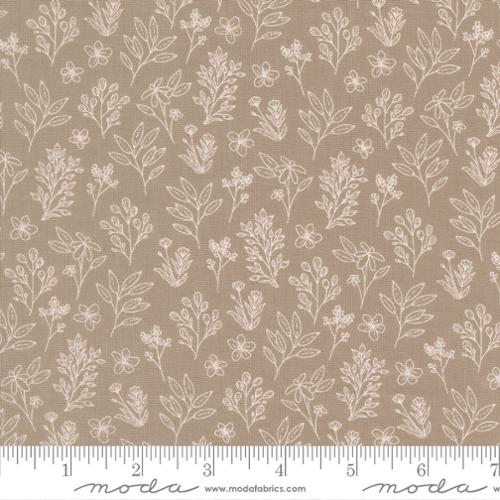 Potted 526145-13