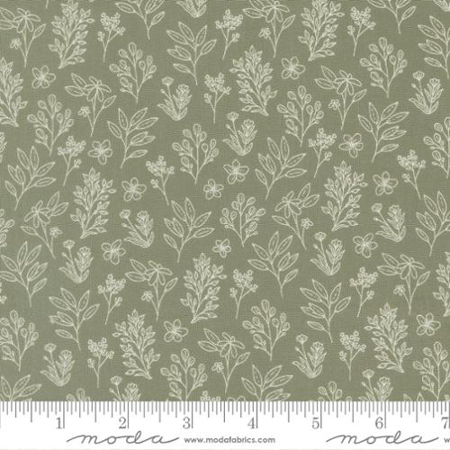Potted 526145-25