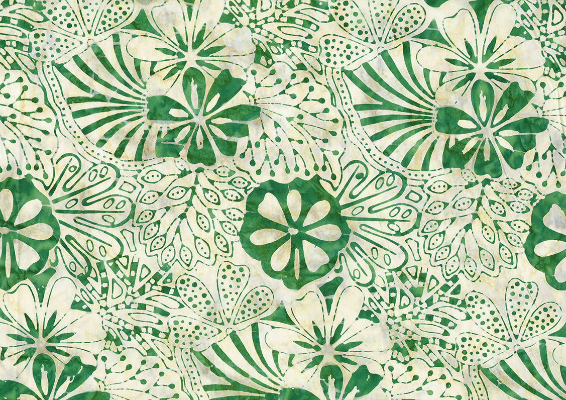 Monstera Deliciosa 82060-15
