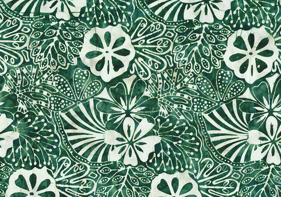 Monstera Deliciosa 82060-78