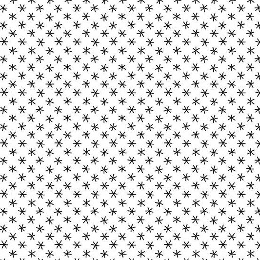 Century Black on White CS9684