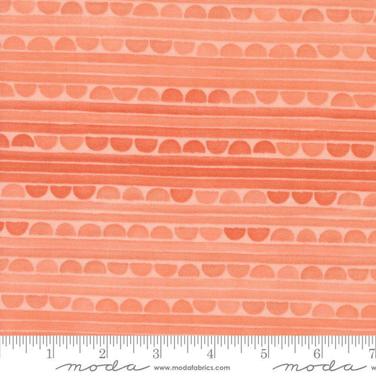 Kindred 536074-20, coral