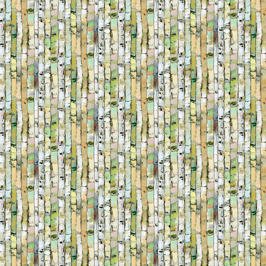 Silent Lake DP27254-72