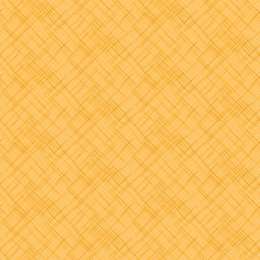 On the Bias 10531-57 Marigold