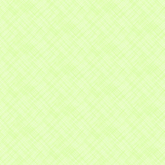 On the Bias 10531-70 Spearmint