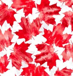 Winter on Ice 53747-1