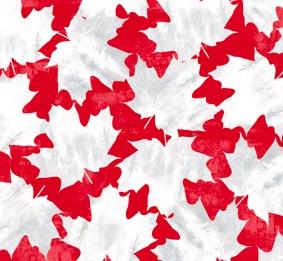 Winter on Ice 53747-3