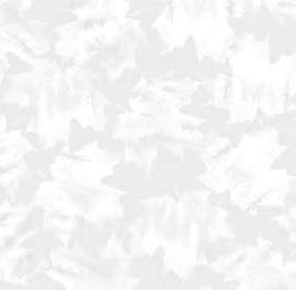 Winter on Ice53747-5