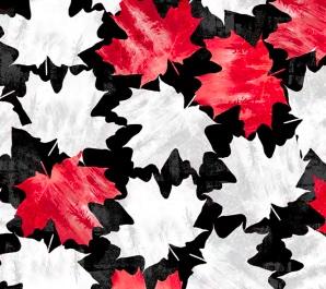 Winter on Ice 53747-4