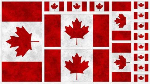 Canadianisms Flag Panel