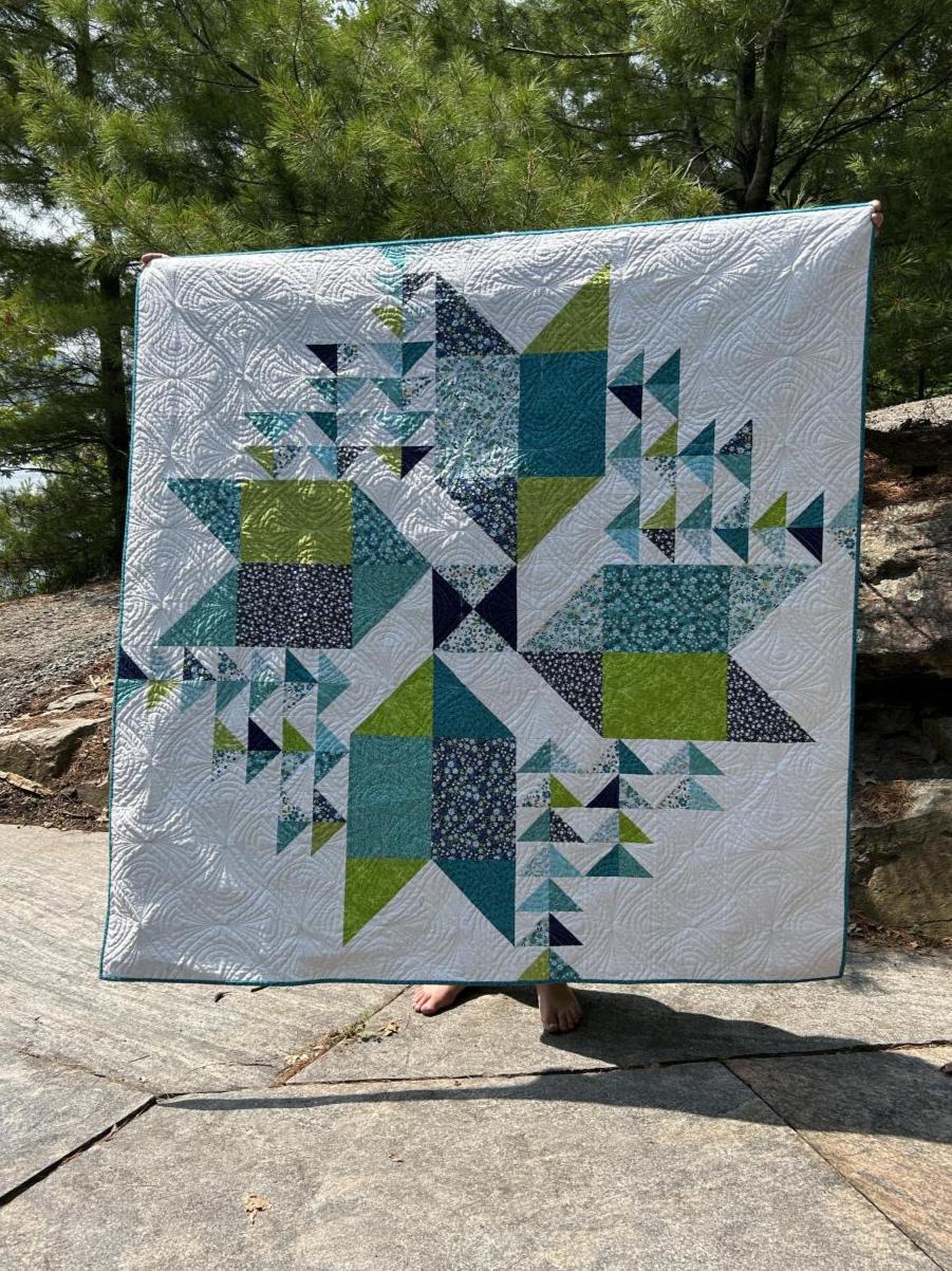 Wind Drifter Quilt Kit