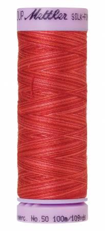 Mettler Multi/ 100m 9848