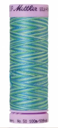 Mettler Multi/ 100m 9814