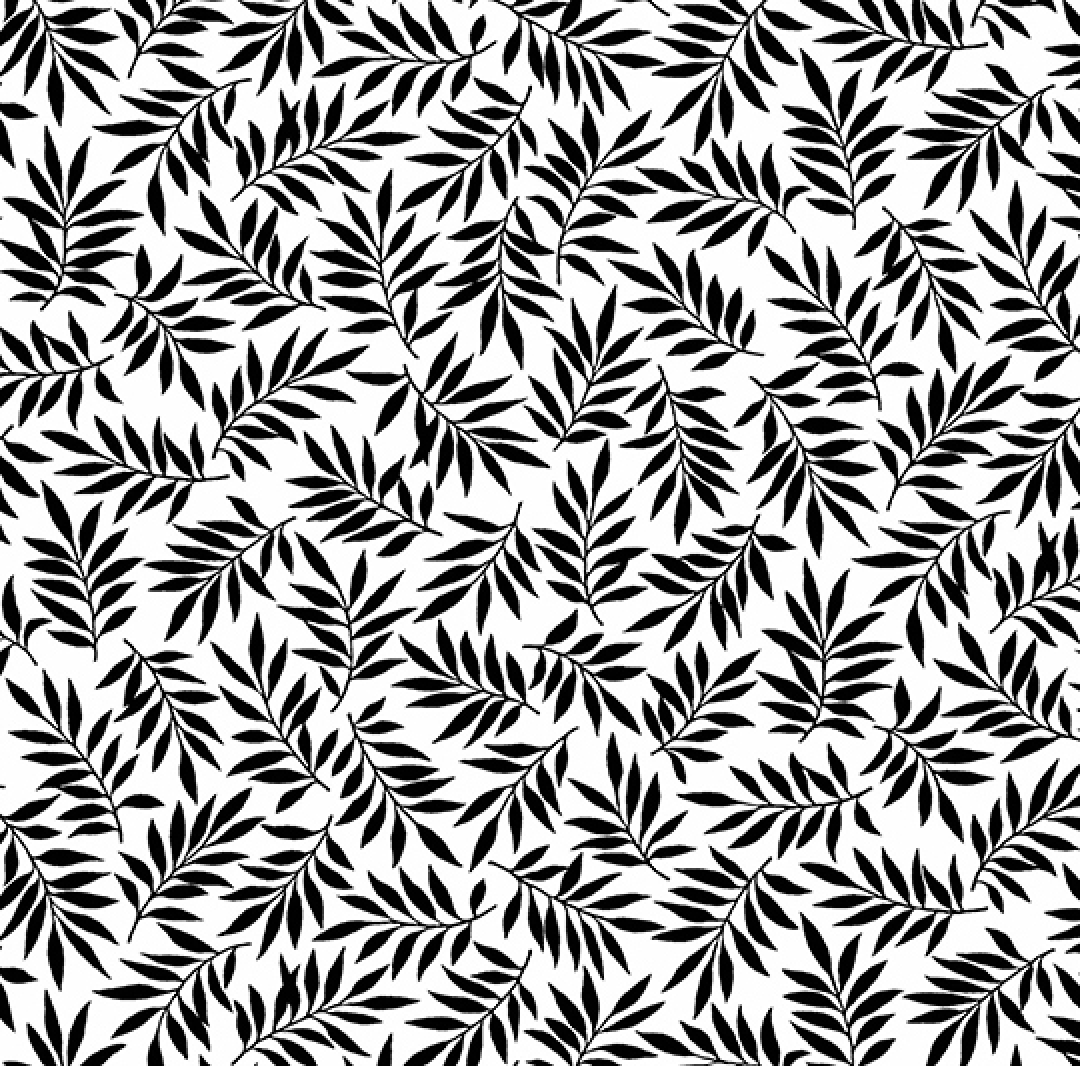 Century Black on White CS9695