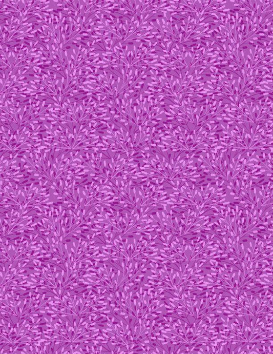 Whimsy 75509 633