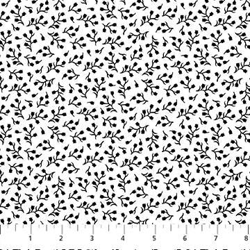 Basically B & W 2   10219-11