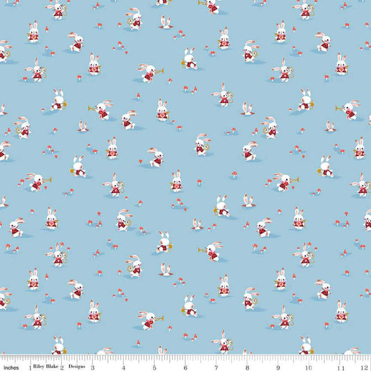 Down the Rabbit Hole RBC12944