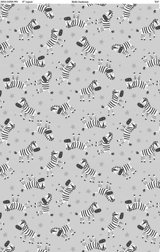 Hello Sunbeam 24505 991