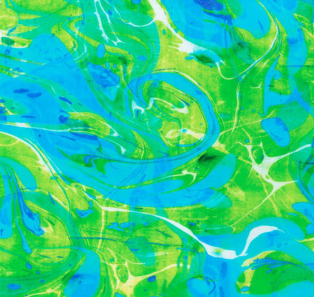 Color Wheel Parakeet