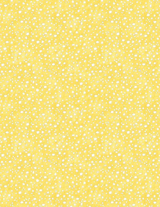 Connect the Dots 39724-551