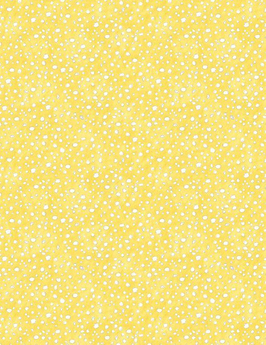 Connect the Dots 39724-551