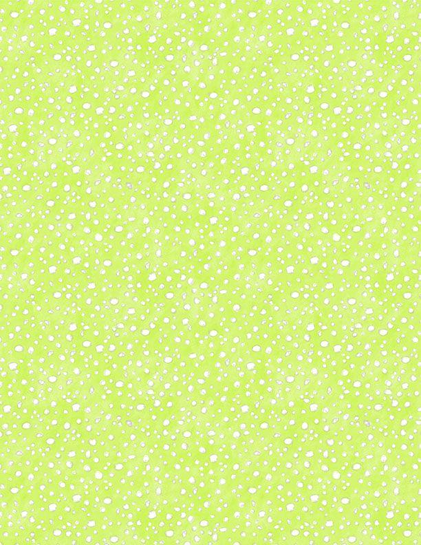 Connect the Dots 39724-751