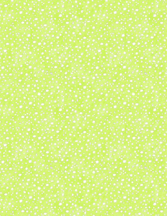 Connect the Dots 39724-751