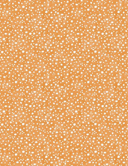 Connect the Dots 39724-881