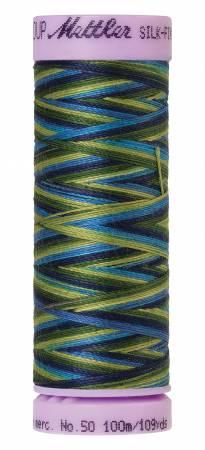 Mettler Variegated 100m 9815