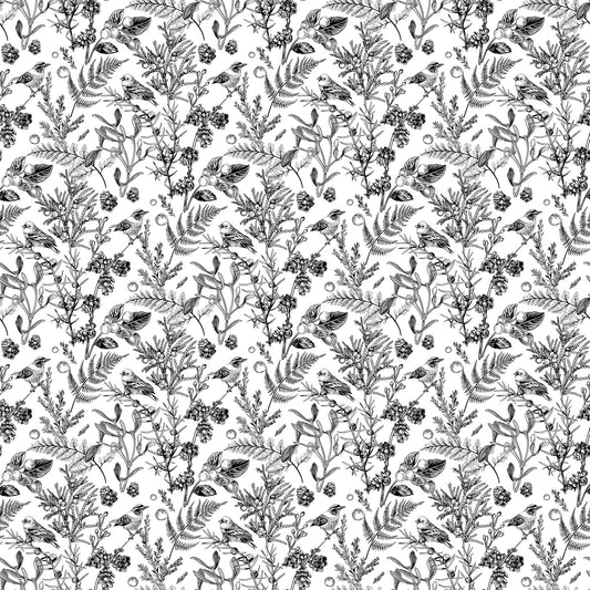 Nature's Sketchbook 28526-10