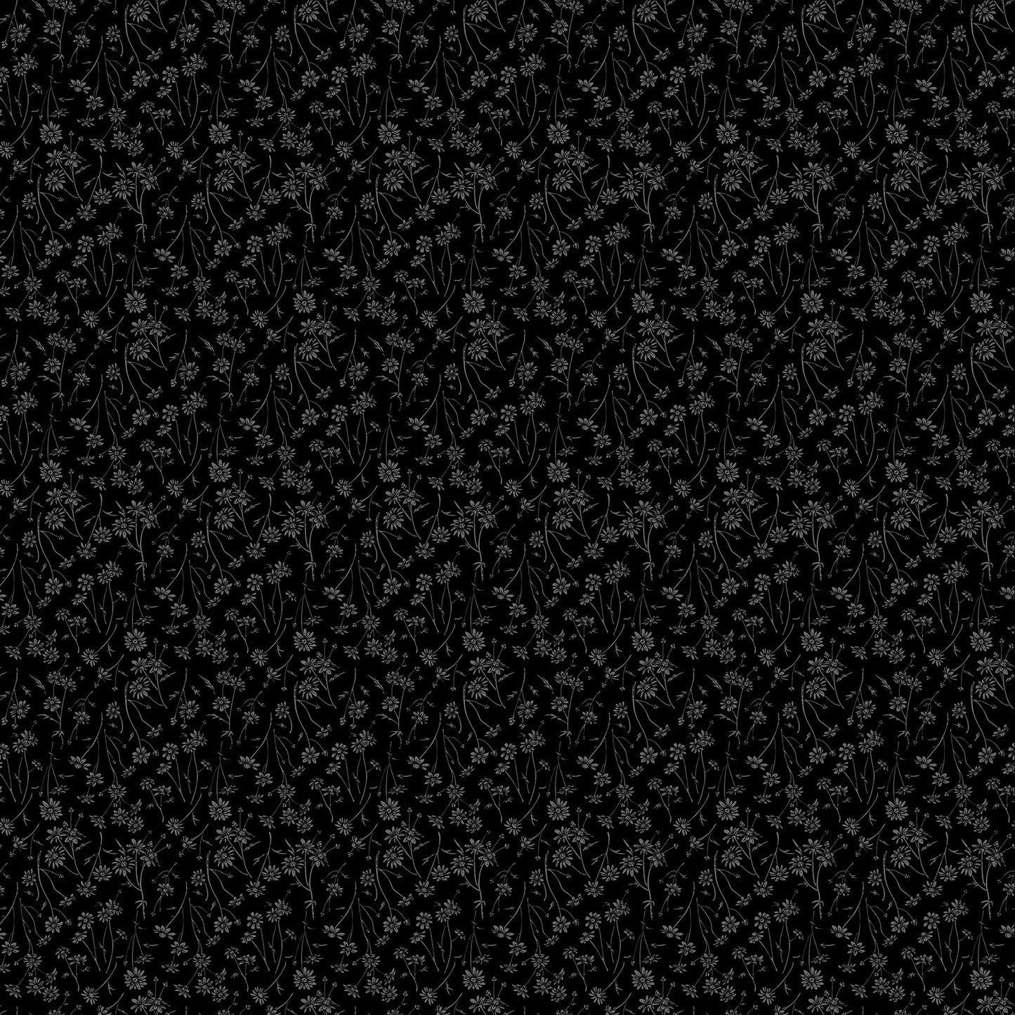 Nature's Sketchbook 28529-99