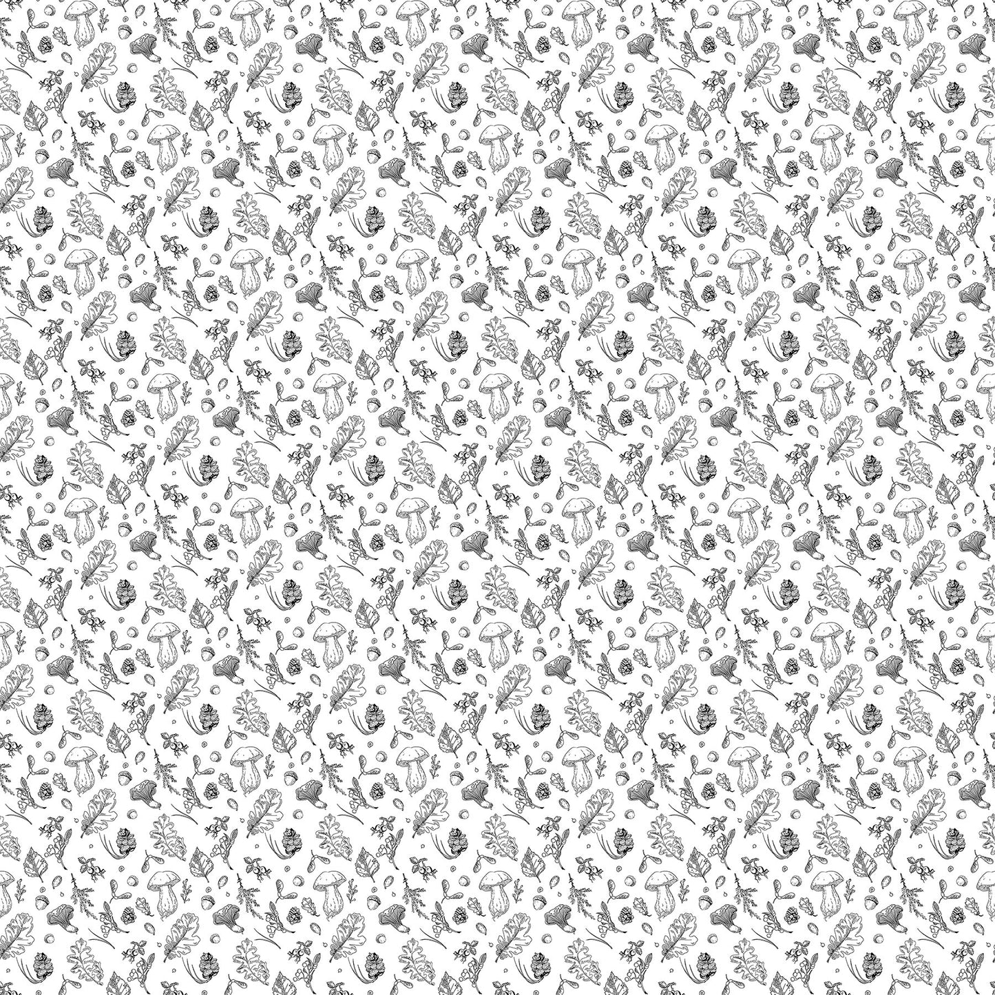 Nature's Sketchbook 28531-10