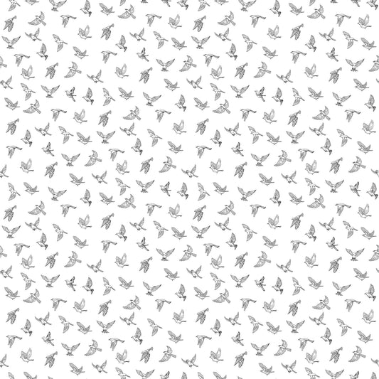 Nature's Sketchbook 28533-10