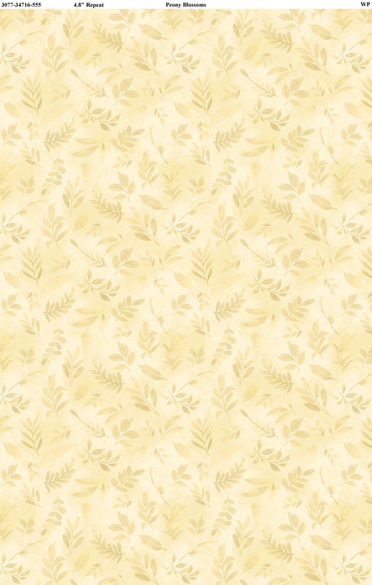 Peony Blossoms 34716-555