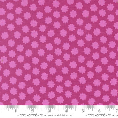 Scenery 51276 20 Passion Fruit