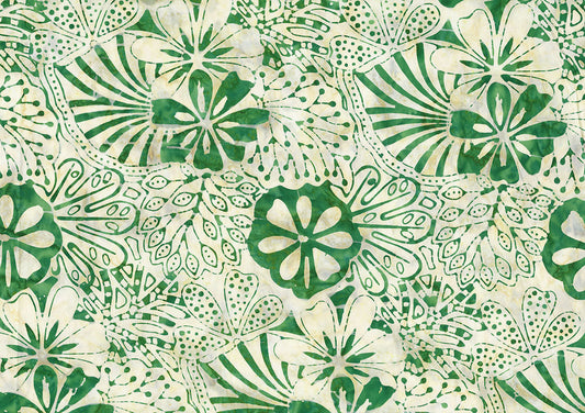 Monstera Deliciosa 82060-15