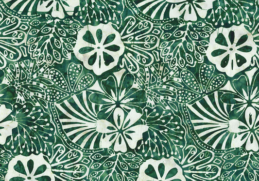 Monstera Deliciosa 82060-78