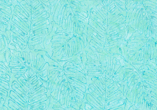 Monstera Deliciosa 82061-42