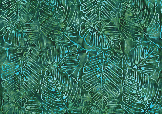Monstera Deliciosa 82061-77