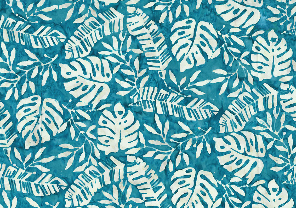 Monstera Deliciosa 82064-63