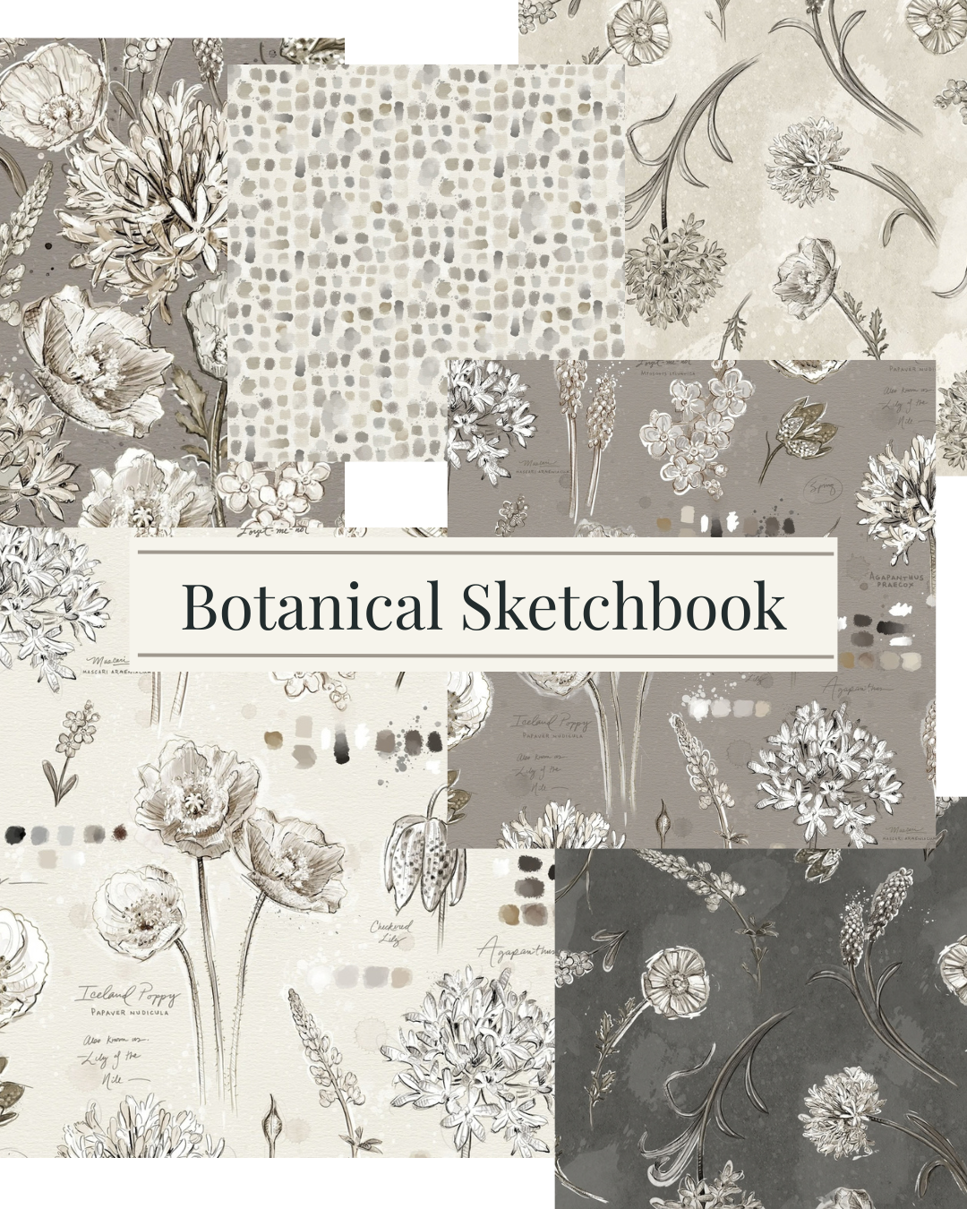 Botanical Sketchbook - 1/2m Bundle (12)
