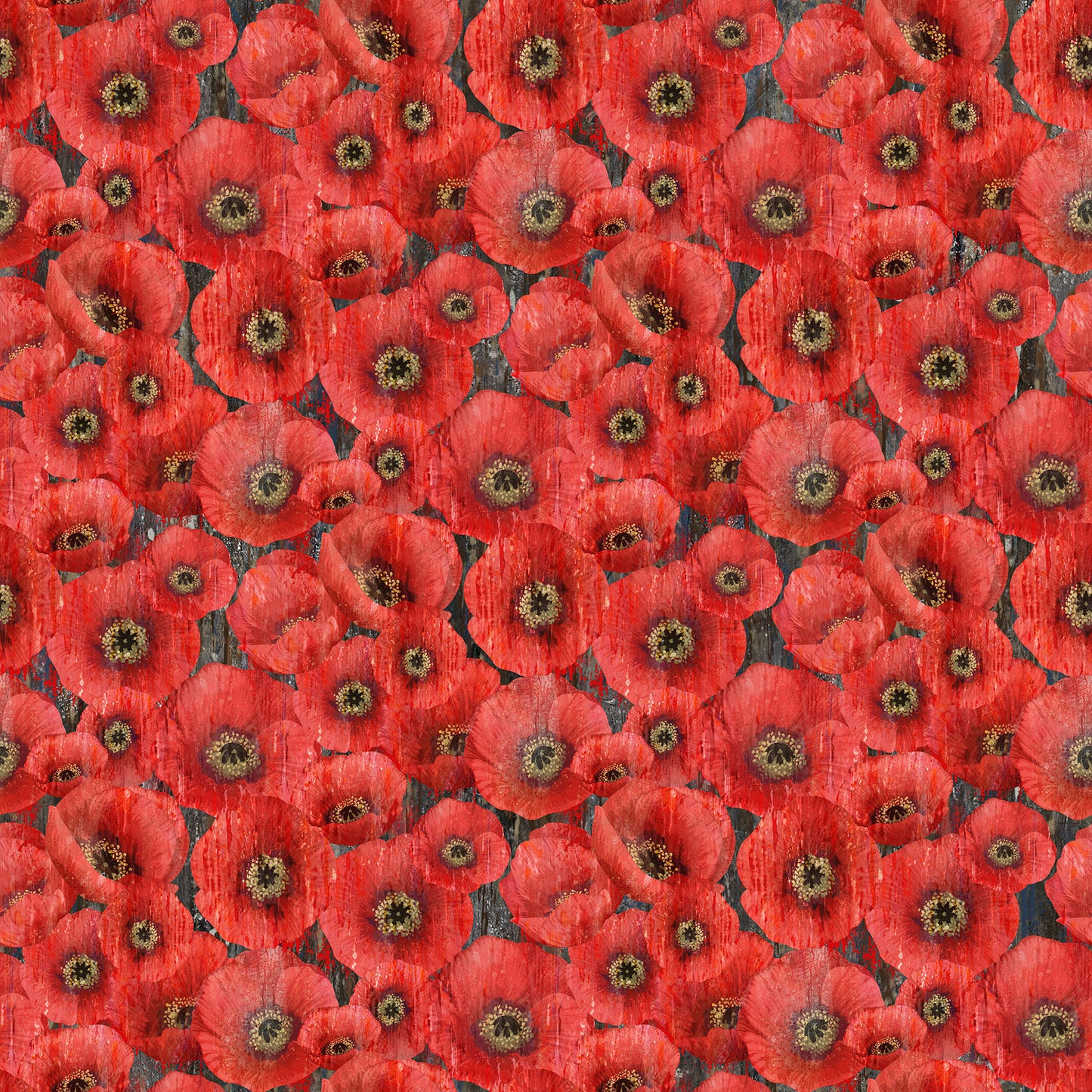 Poppy Meadow DP29088-97
