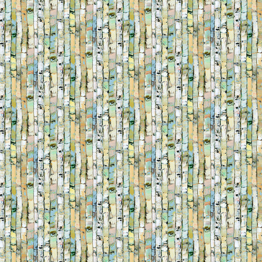 Canoe Lake 29237-74
